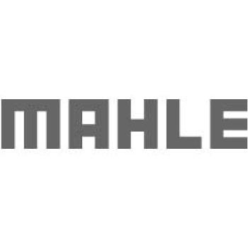 Mahle